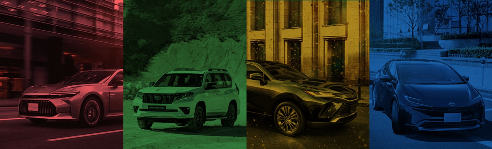 Sky Tree Background Image